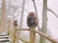 -峨眉山风景名胜区