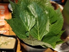 -四斤烤肉(东戴河孟家店)