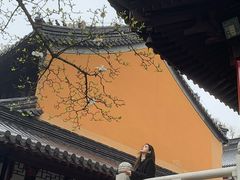 -灵谷景区