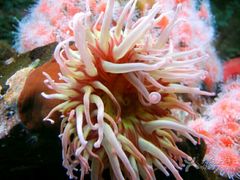 -西雅图水族馆