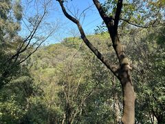 -广州市白云山风景名胜区
