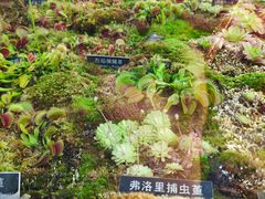 -国家植物园南园