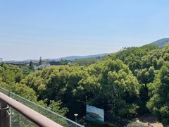 -东山风景区(洞庭东山)
