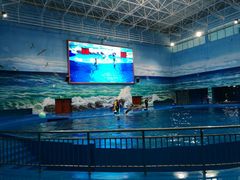 -多彩贵州城极地海洋世界