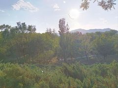 -滨河世纪广场公园