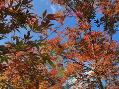 -广州市帽峰山景区