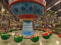 -南宫五洲植物乐园