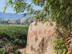-中国茶叶博物馆(双峰馆区)