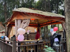 -二荆条·蜀鲜汇城市森林火锅