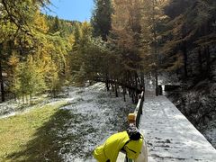 -苏木山森林公园