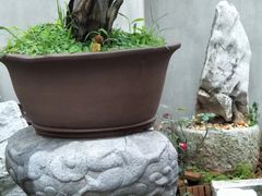 -美味之家·湖景农家乐(太湖东山店)