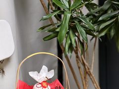 -Kekimatata 生日蛋糕·烘焙教学