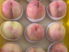 -老袁家蜜桃农场·阳山水蜜桃