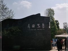 -秀丽东方