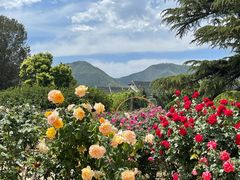 -国家植物园南园