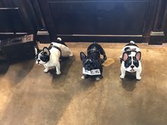 -LYFATTI 莱芙缇(赣水路店)