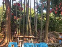 -金水泊山庄·花椒鸡(铁山坪店)
