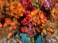 -洛阳宴·洛阳菜(南昌路店)