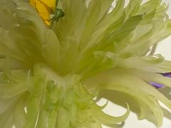 -浙里本味·宴四季江南(三台山路店)