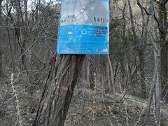 -北京鹫峰国家森林公园