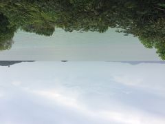 华东疗养院-上海市保健医疗中心(华东疗养院)