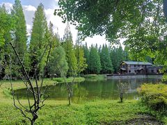 -黄海国家森林公园