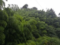 -藏龙百瀑风景区