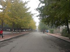 -辽宁大学(崇山校区)