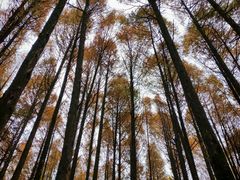 -山王坪喀斯特国家生态公园