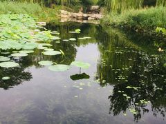-北京植物园南门售票处