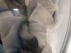 -宠福鑫康馨动物医院·骨科·眼科