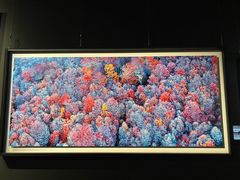 -罗红摄影艺术馆