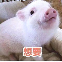 -安那般那皮肤年轻化ANAPANA