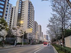-风华初级中学(东校区)