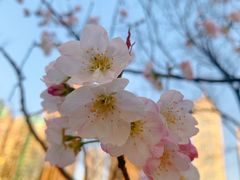 -西北湖绿化广场