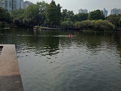 -晓港公园