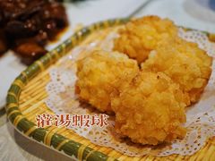 -丁老爷子苏香圆