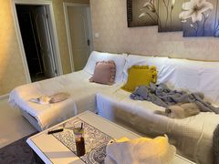 -读宠于你·约克夏比熊·睫角守宫·爬宠售卖(高新店)