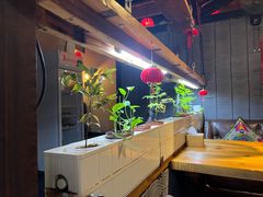 -望京一号·重庆江湖菜(工体店)