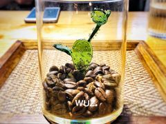 咖啡豆种玻璃仙人掌-无牌咖啡&酒馆