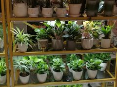 -茶马花街(城西银泰城店)