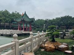 -广东圆玄道观