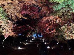 -醍醐寺