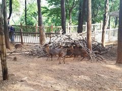 -昆明动物园