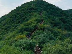 -大岭沟猕猴桃谷风景区