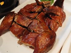 王府琵琶鸭-王府井酒店(金桥港湾店)