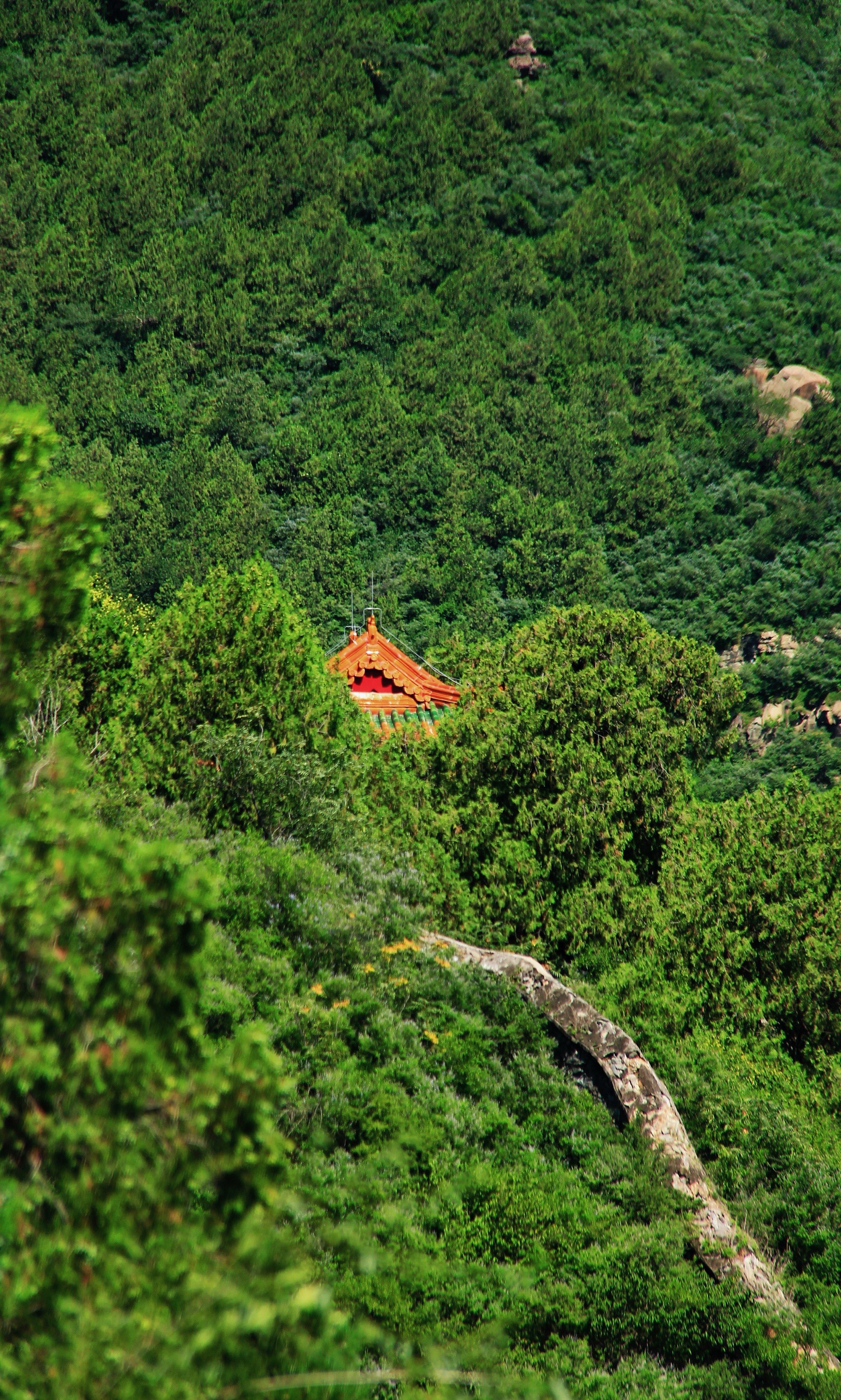 香山樱桃沟景区图片