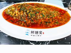 -鲜塘宴·千岛湖大鲫鱼(南湖店)
