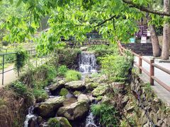 -藏龙百瀑风景区