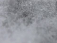 -圣·阿列克谢耶夫教堂